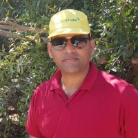 Dr. Shailendra P Singh