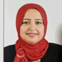 mona ibrahim