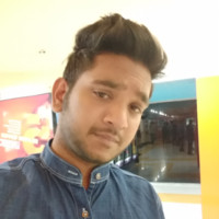 Narendra Meena