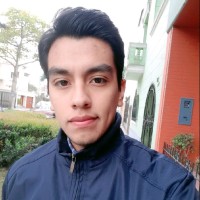 Duant Cosme Mejia Alarcón