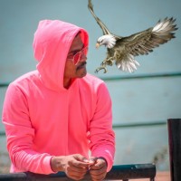 Vikram Reddy