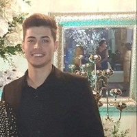 Vitor Delapicola Favarato