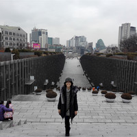 Haiqing Chen