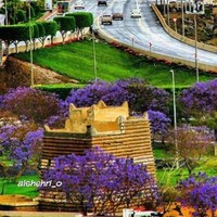 عمرو عمرو