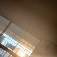 王思飞