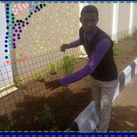 Esajere Innocent