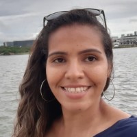 Ana Flavia Mendes França