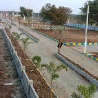 Hari Babu