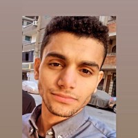 Mohamed Eladly