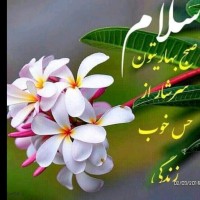 ممدو ممدویی