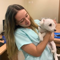 Carolina Momi Vianni