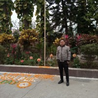 Brijesh Negi