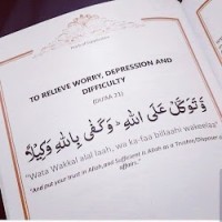 Faryal Mushtaq