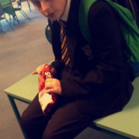 Beef Hern