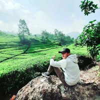 Jenal Arifin