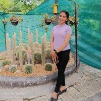 Neha Rawat