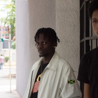 Orlando Gardener