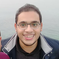 Hesham Muhammed