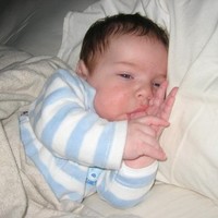 Mellebel 'T Hoen