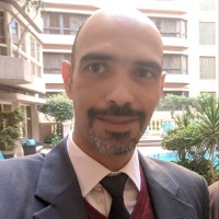 Karim El-Shamaa