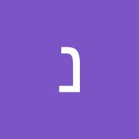 נגיב נסראלדין