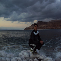 Hamzeh Al-atout