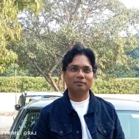 Vikas Raj