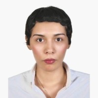 Diana Belmudes