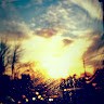 Samra B