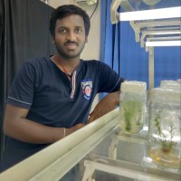 Karthick Kannan