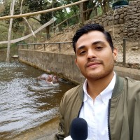 Diego Alejandro Valenzuela Rodriguez