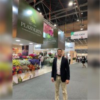 Rafael Henríquez Quintero