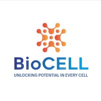 BioCell Innovations