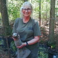 Holly Niederriter
