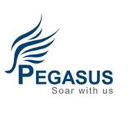 Pegasus Industries