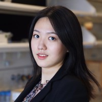 Yao Y.
