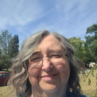 Diane Shober Bs Lsw, Ccm