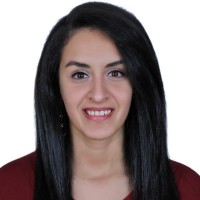 Helen Nessem
