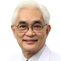 Loke Meng Ong (Dato' Dr.)