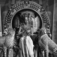 Hend Soliman