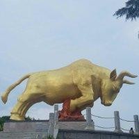 王东文