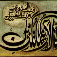Anza Riaz