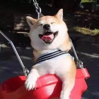 邵畏重