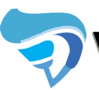 Visulaisers '