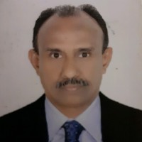 Saleel Anandan