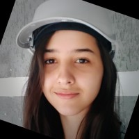 Karina De Freitas Borges