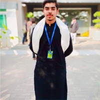 Hassan Irtaza