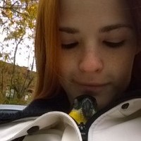 Dorian L Drew, MLIS