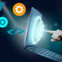 Software Services