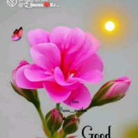 Mannem Satish Kumar